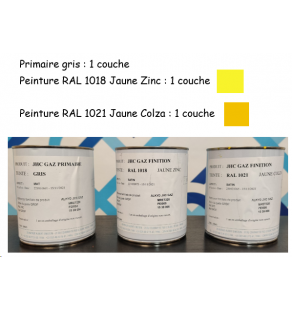 * PEINTURE CICM - Peinture en POT de 1 litre - RAL 1021 Jaune Colza - 1539006